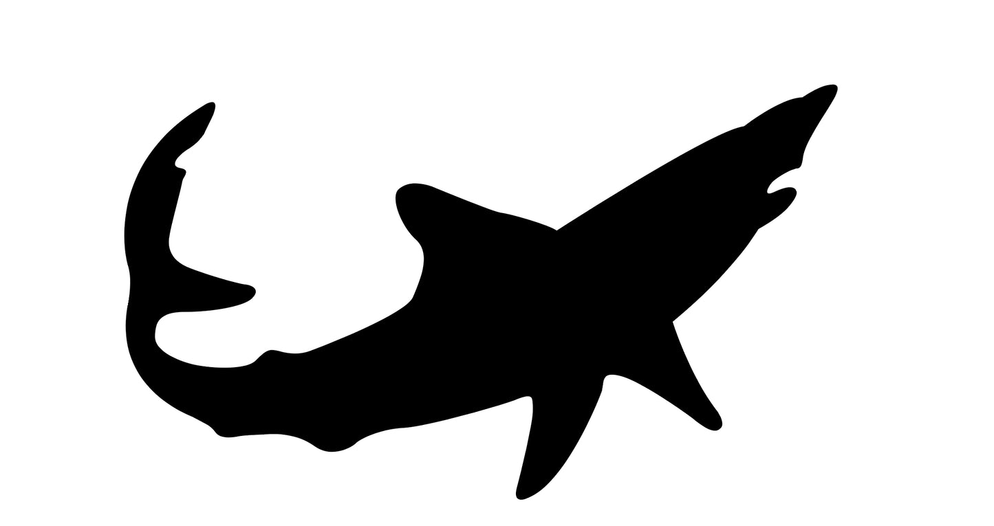 Mako requin
