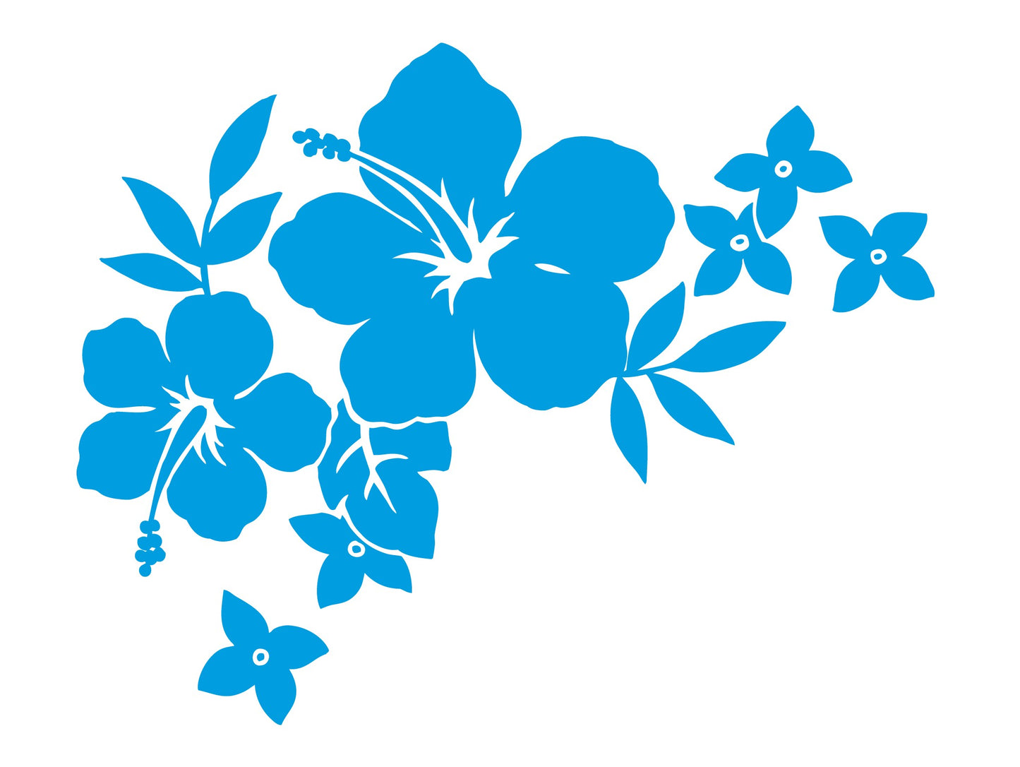 Fleur hibiscus 2