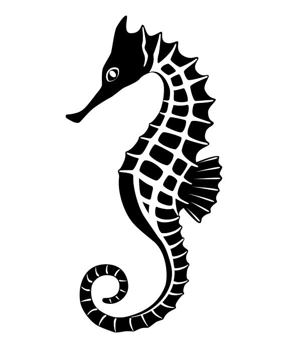 Hippocampe