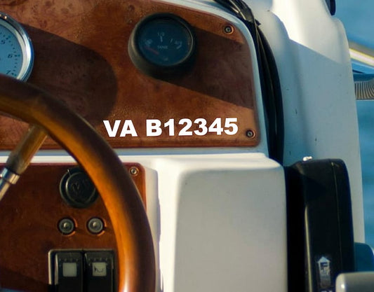 immatriculation cockpit
