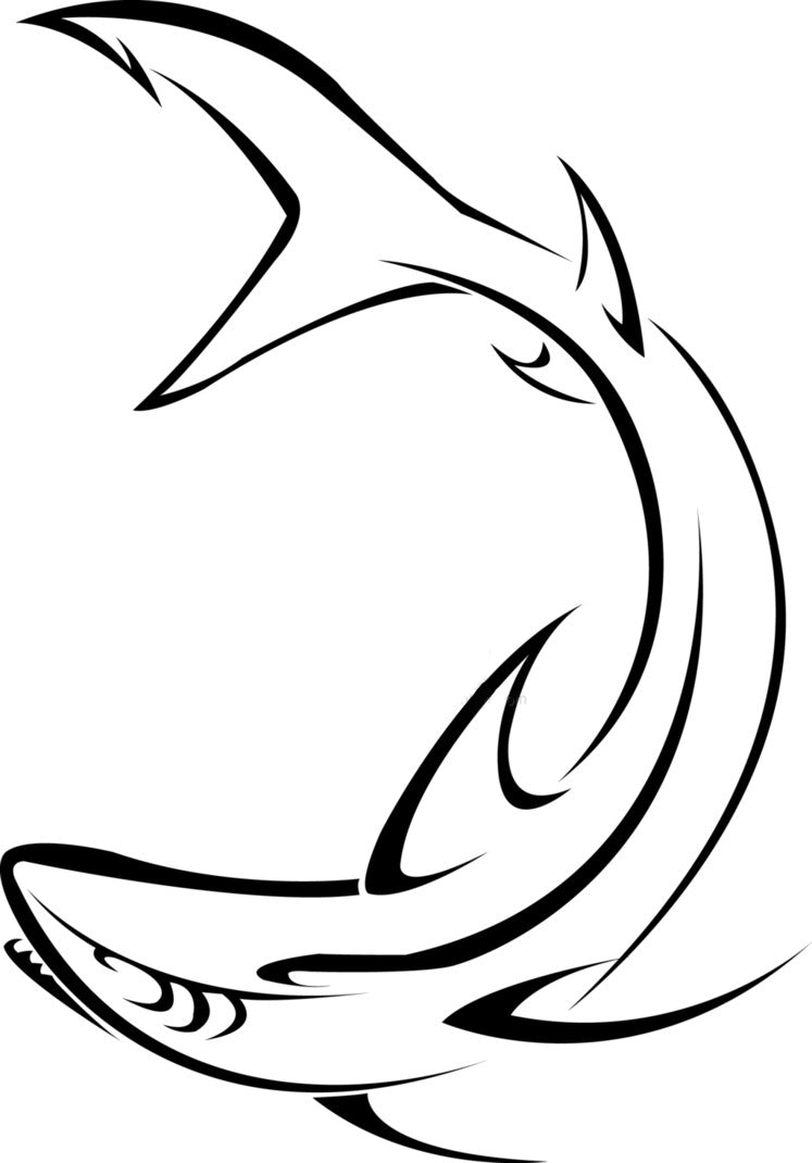 Requin 2