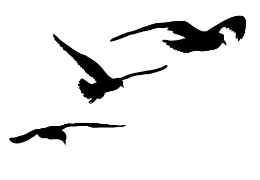 Mouettes