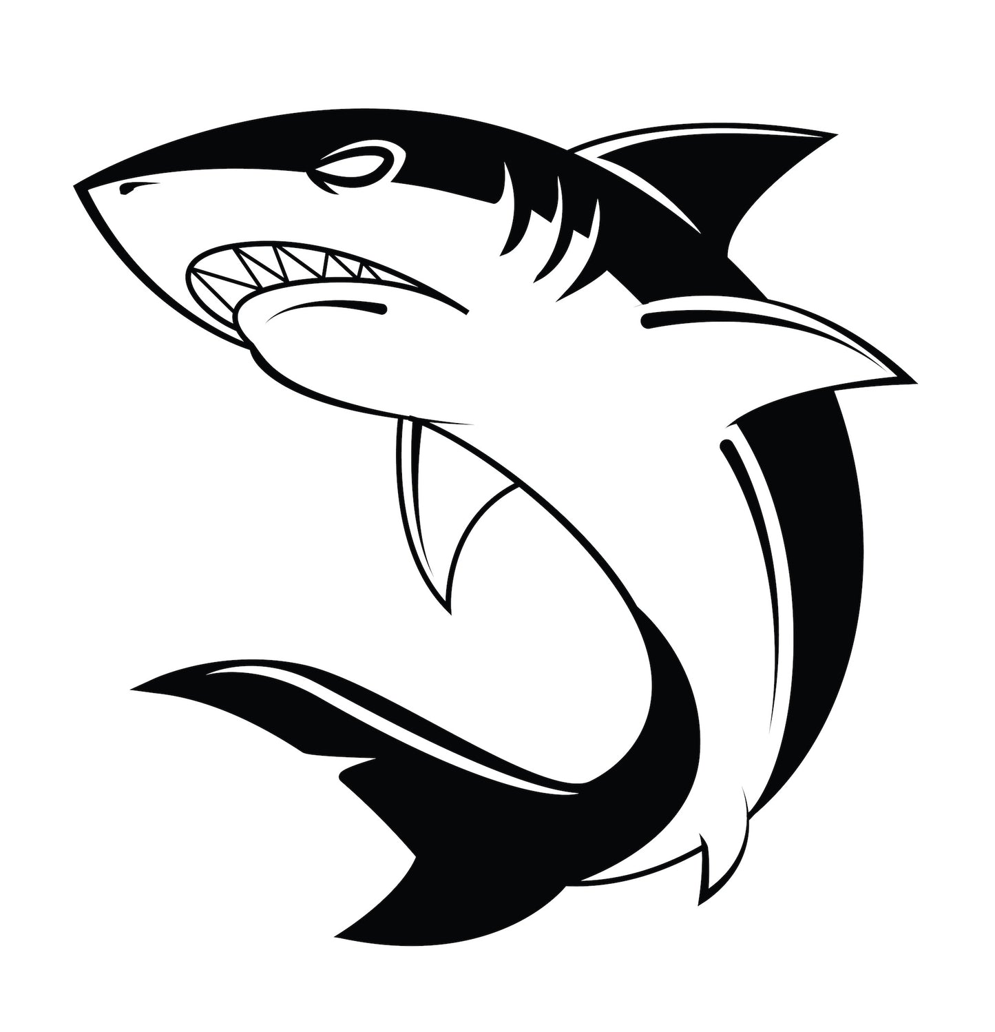Requin 3