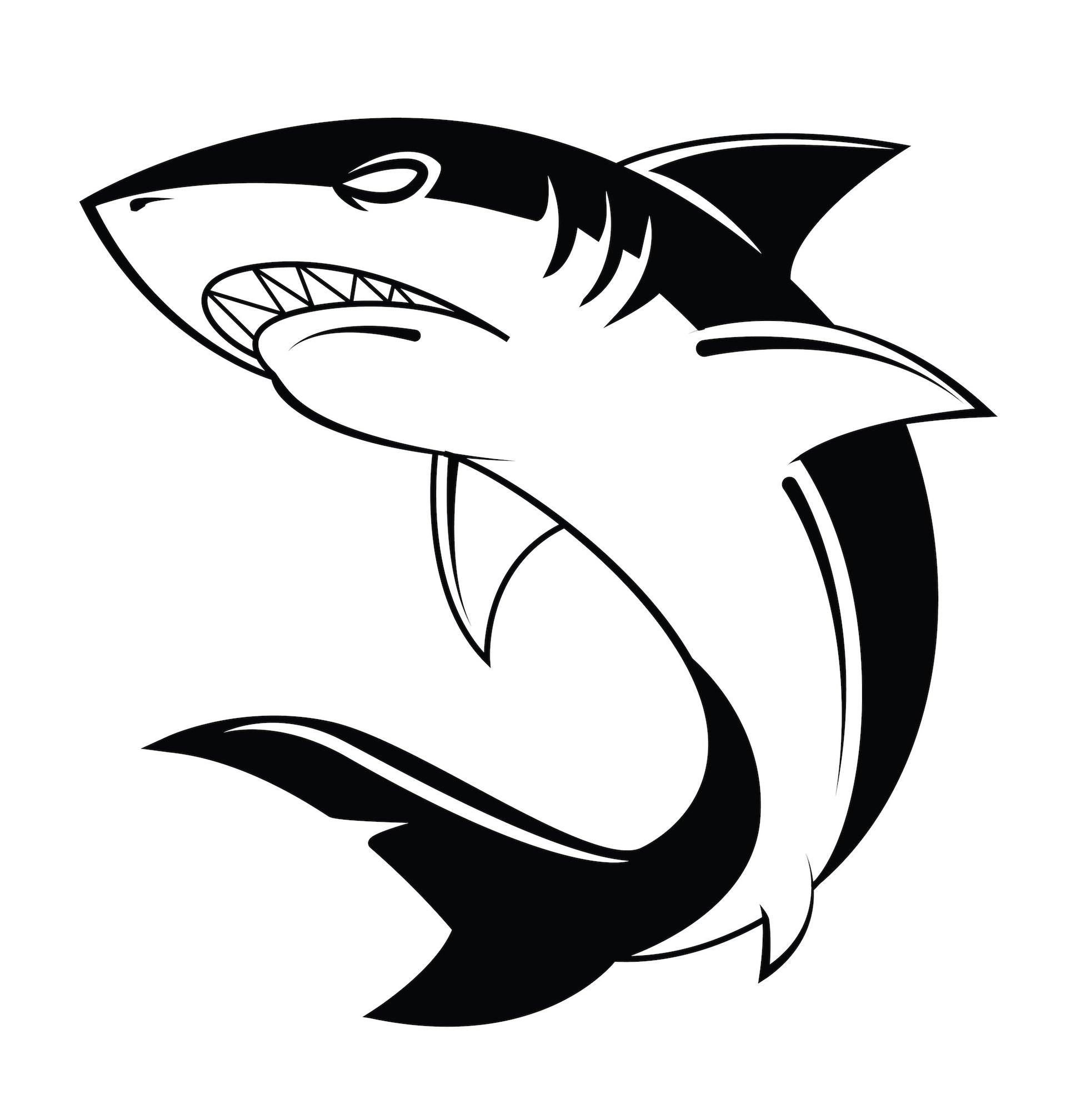 Requin 3