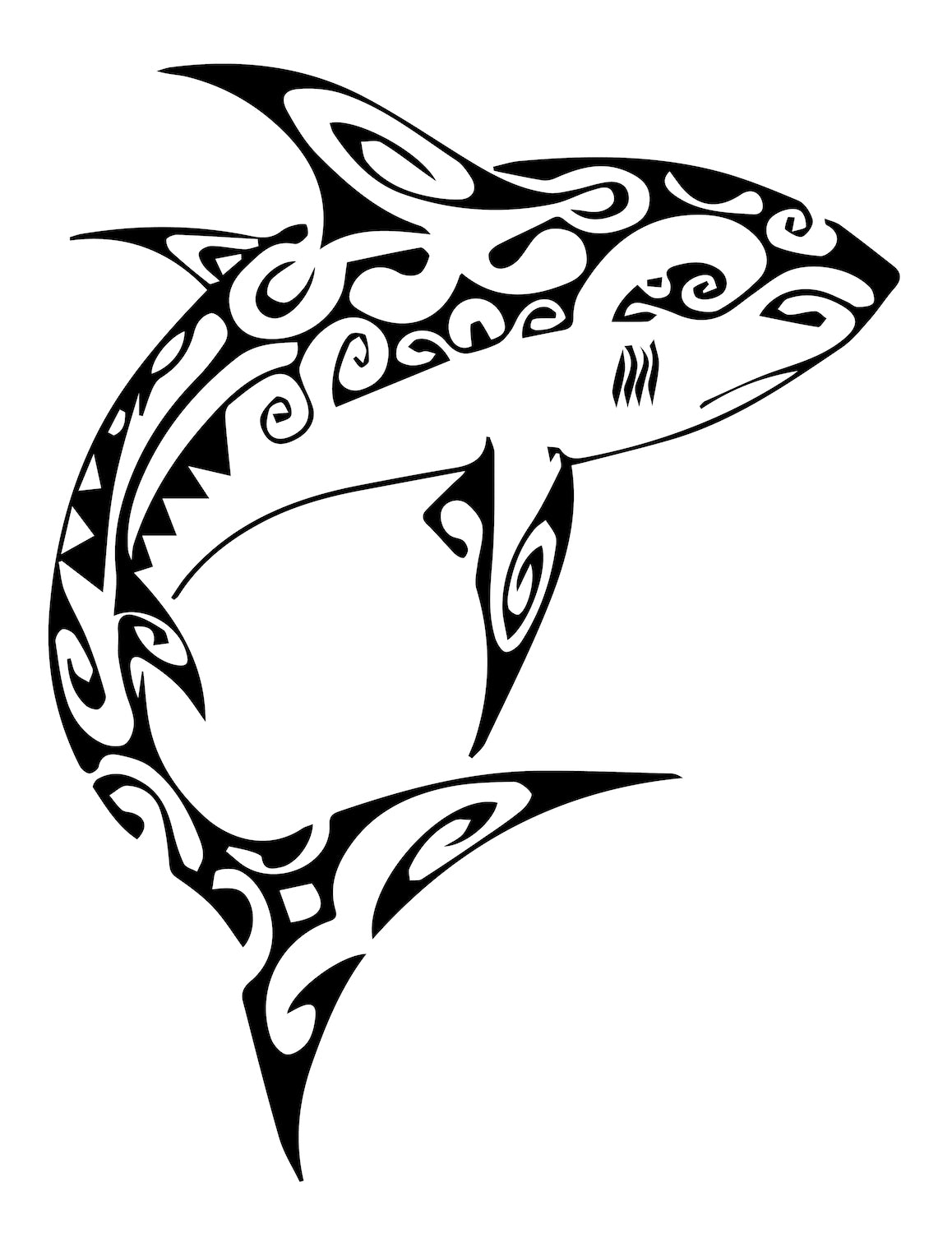 Requin maori