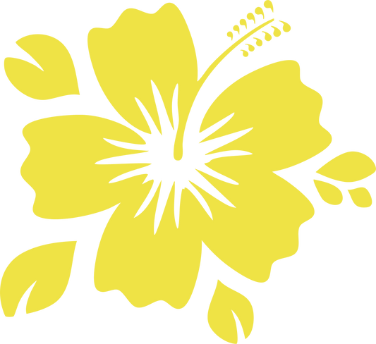 Hibiscus jaune