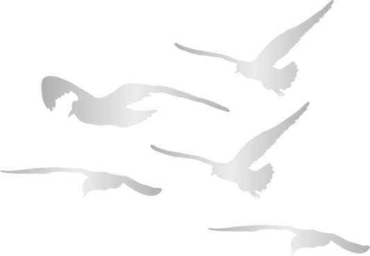 Mouettes argenté