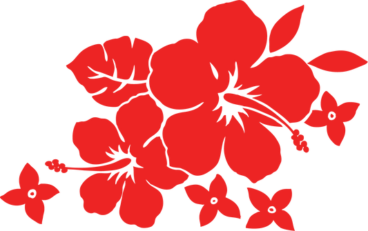 Hibiscus rouge