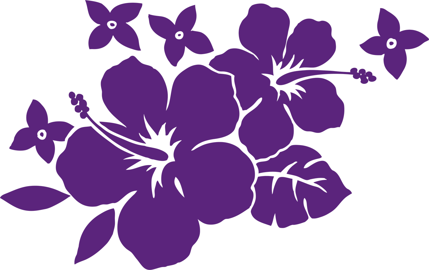 Hibiscus violet