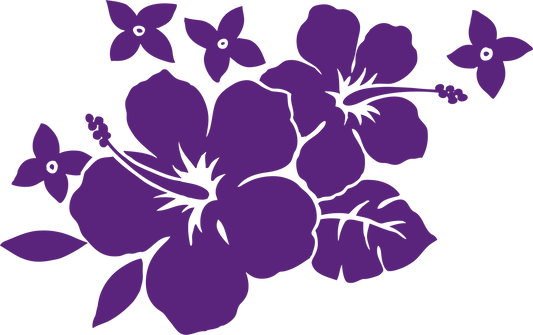 Hibiscus violet