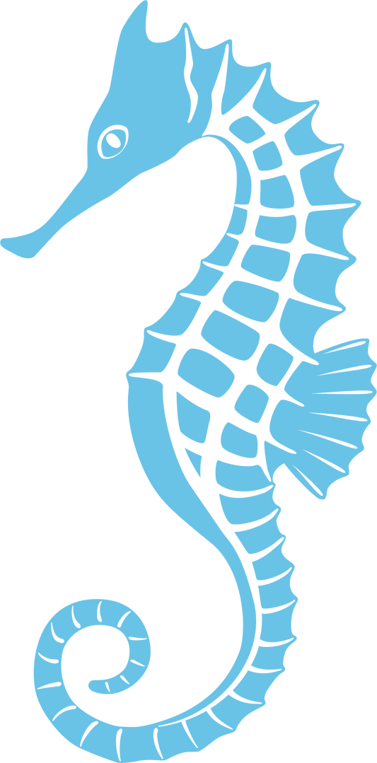 Hippocampe bleu clair
